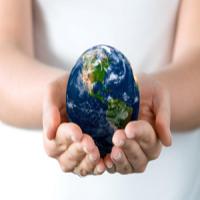 Trade Comex Comercial Exportadora